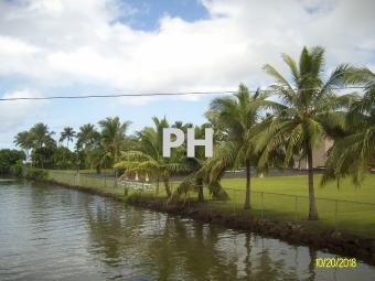 Quiet land and water with palm tree